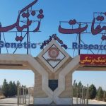 پیشگیری از معلولیت‌های مادرزادی در مرکز ژنتیک میبد